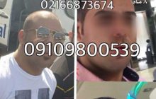 هرآنچه درباره مو باید بدانید