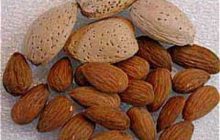 بادام برای پوست و زیبایی شما
